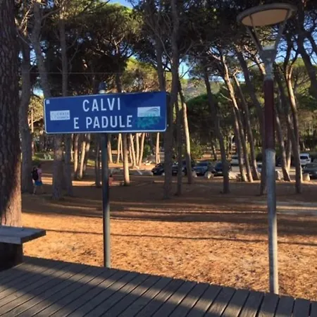 T1 Bis Climatise A 50m De La + Garage Prive *